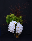 Phalaenopsis Orchid Arrangement Vase