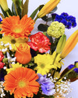 Orange Colour Pop Gerbera Box
