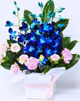 Blue Singapore Orchids Box