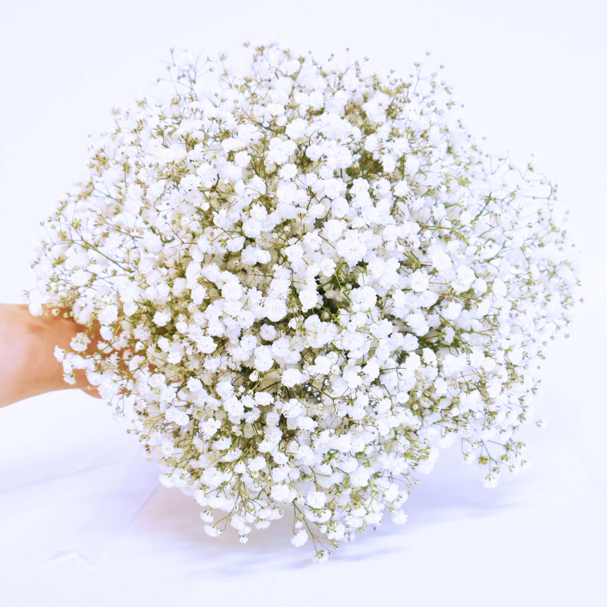 Baby's Breath Bridal Bouquet