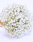 Baby's Breath Bridal Bouquet