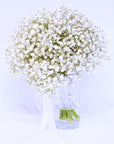 Baby's Breath Bridal Bouquet