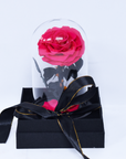 Valentine's Day Gifts - Everlasting Rose Glass Dome | Forever Rose