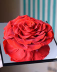 Valentine's Day Flowers - Everlasting Mirror Rose Glass Container