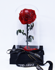 Valentine's Day Gifts - Everlasting Rose Glass Dome | Forever Rose