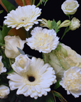 Florist's Medium White Flowers Box