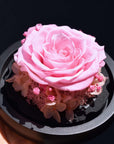 Valentine's Day Flowers - Everlasting Rose Heart Dome | Forever Rose Head Glass Orb - Pink or Blue