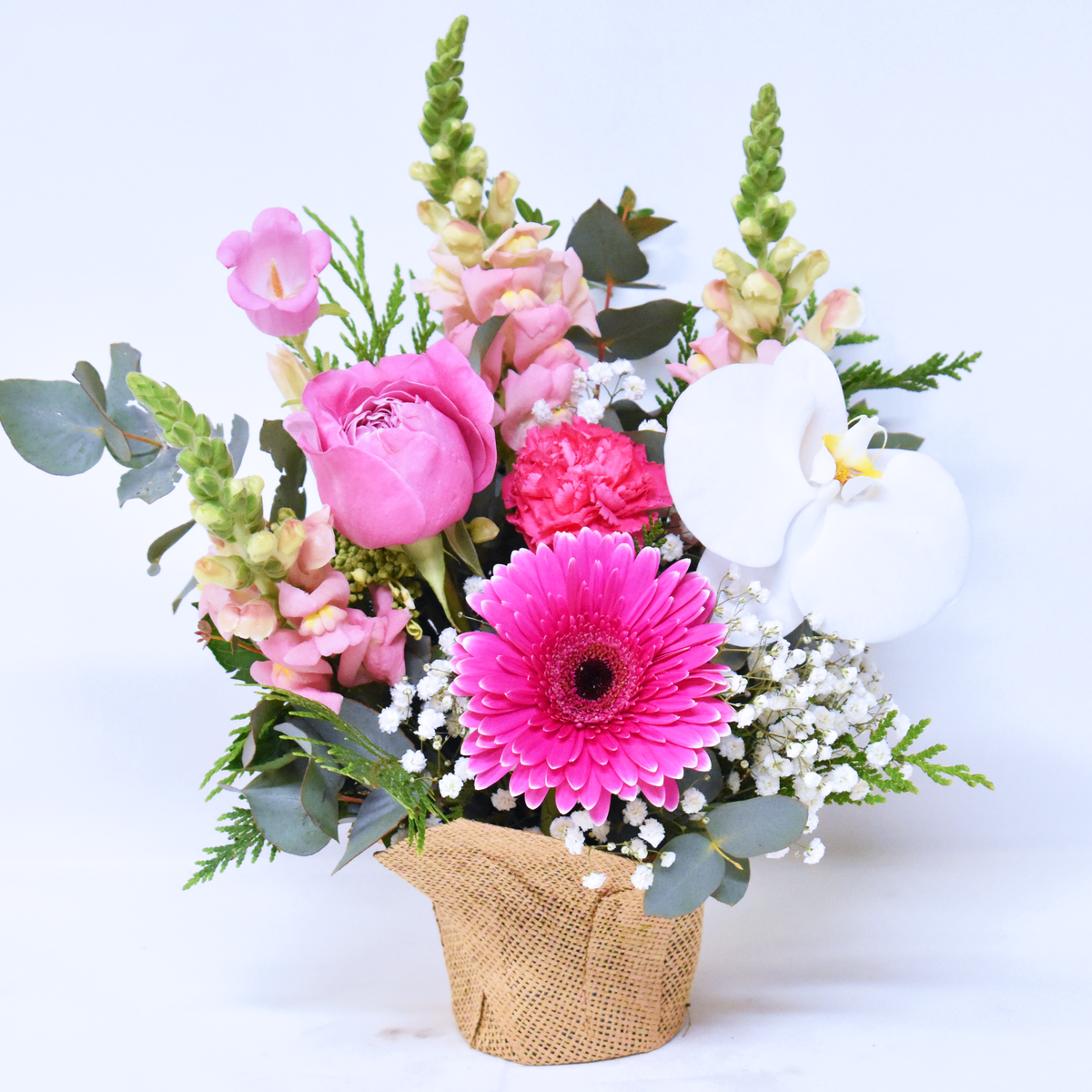 Same Day Flower Delivery Pink Flowers Posie Melissa's Florist Mount Waverley Melissa's Florist
