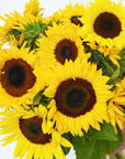 Dear Sunflower, From Rose Graduation Bouquet