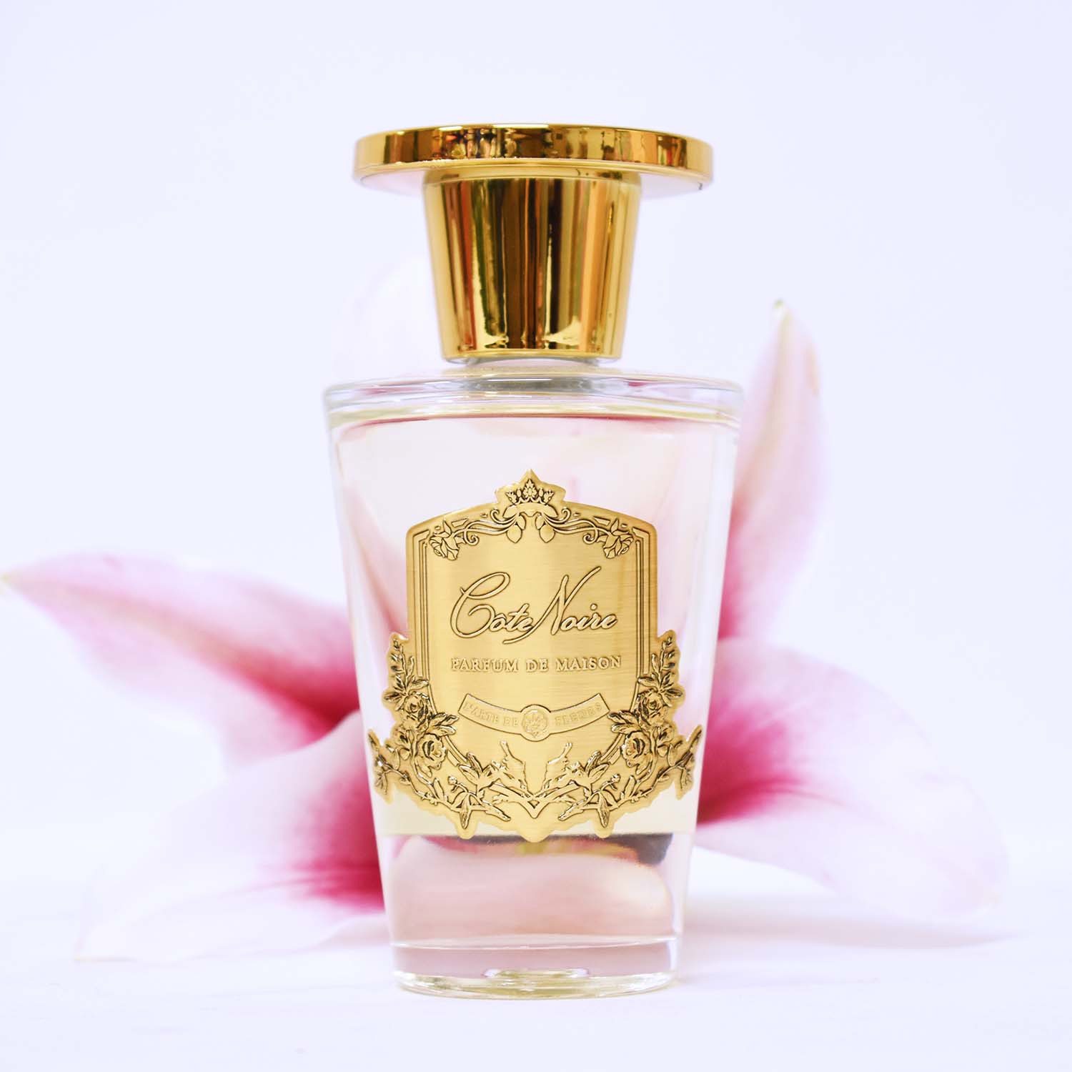 Lucky Dip French Côte Noire Diffuser Large 150mL