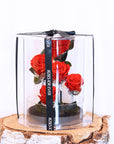 Valentine's Day Gifts | Everlasting Rose Garden | Forever Rose Lasts Years