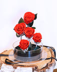 Valentine's Day Gifts | Everlasting Rose Garden | Forever Rose Lasts Years