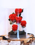 Valentine's Day Gifts | Everlasting Rose Garden | Forever Rose Lasts Years