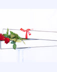 Valentine's Day Flowers - 6 Red Roses + Box!