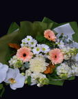 Peach Gerbera White Flower Bouquet (Premium)
