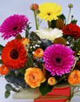Colour Pop Gerbera Box
