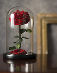 Valentine's Day Gifts - Everlasting Rose Glass Dome | Forever Rose
