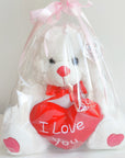 Valentine's Day Gifts - Love Heart Buddy Bear (30cm)