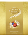 礼品包装 Lindor 什锦巧克力 Lindt 礼盒