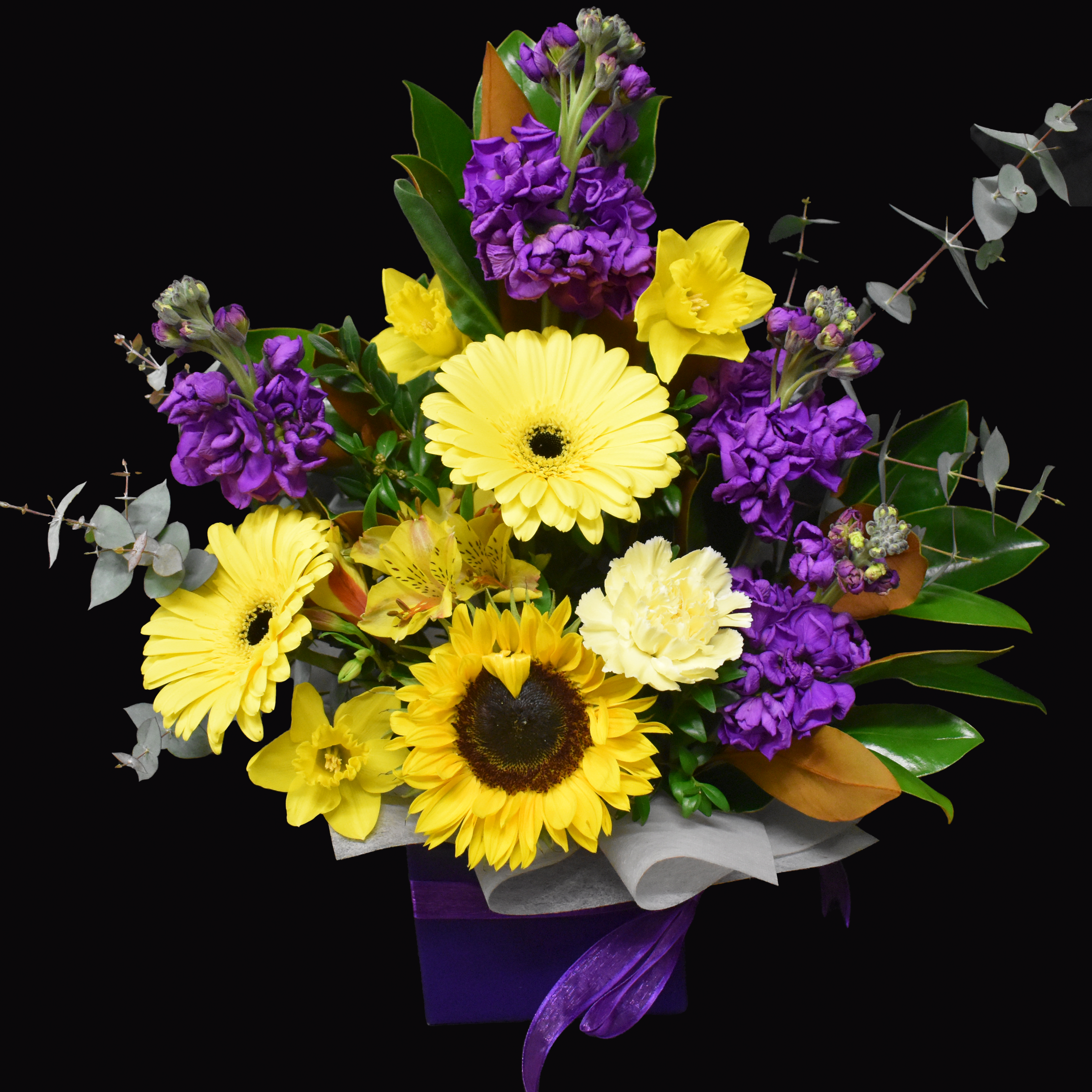 Purple Stock Sunflower Box (Medium)