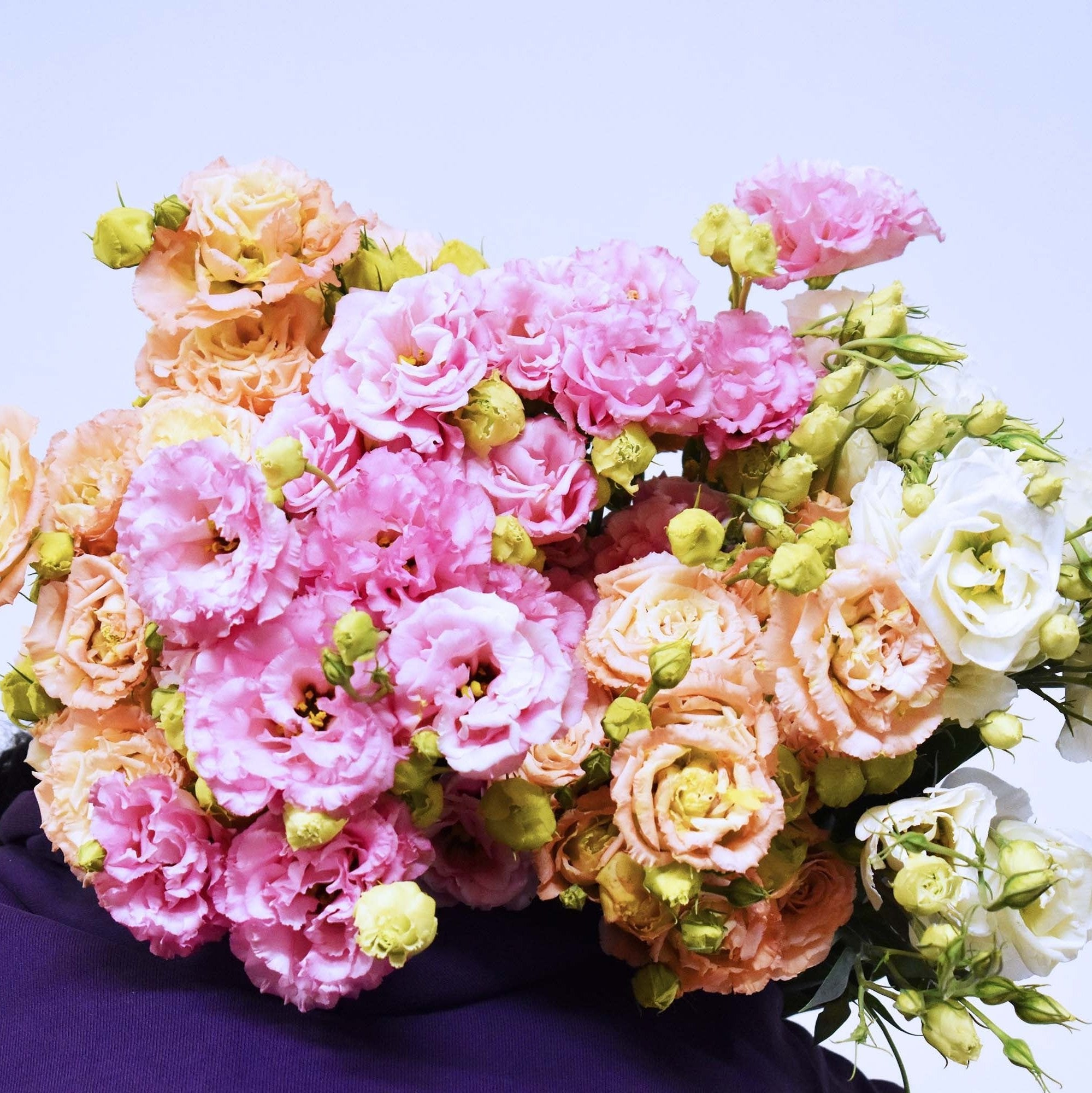 Lucky Dip Lisianthus Bouquet