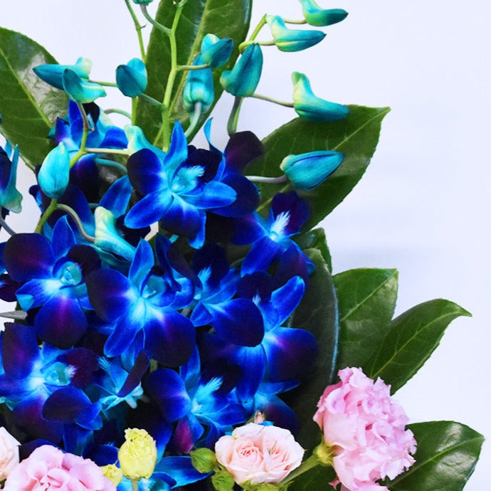 蓝色新加坡兰花盒