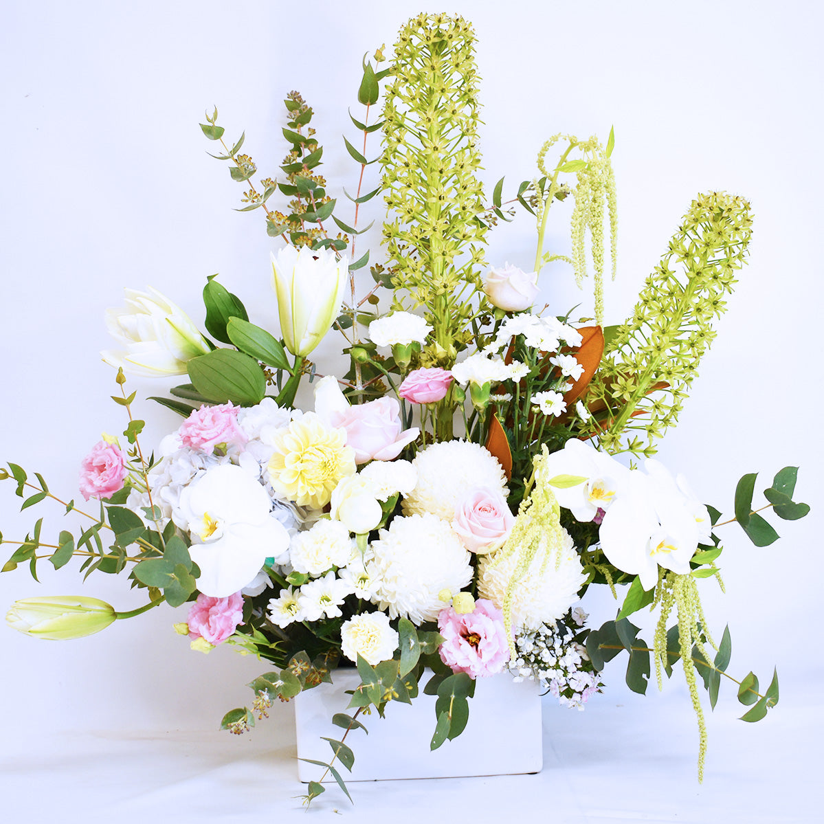 Florist's Premium Spring Blossoms + Ceramic Pot!