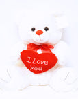 Valentine's Day Gifts - Big Love Heart Buddy Bear (45cm)