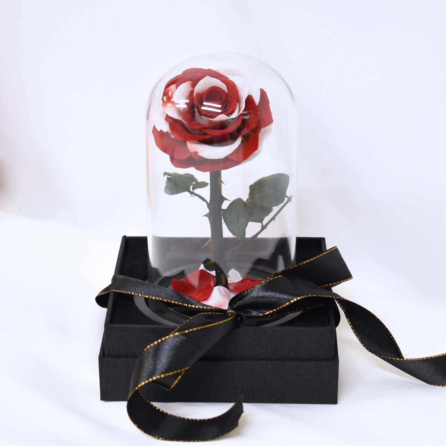 Valentine&#39;s Day Gifts - Everlasting Rose Glass Dome | Forever Rose