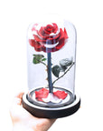 Valentine's Day Gifts - Everlasting Rose Glass Dome | Forever Rose