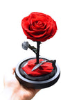 Valentine's Day Gifts - Everlasting Rose Glass Dome | Forever Rose