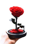 Valentine's Day Gifts - Everlasting Rose Glass Dome | Forever Rose