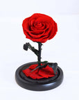 Valentine's Day Gifts - Everlasting Rose Glass Dome | Forever Rose