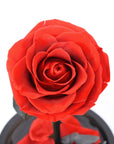 Valentine's Day Gifts - Everlasting Rose Glass Dome | Forever Rose