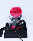 Mini Forever Rose | Everlasting Rose Dome | Enchanted Rose | Rose That Lasts A Year