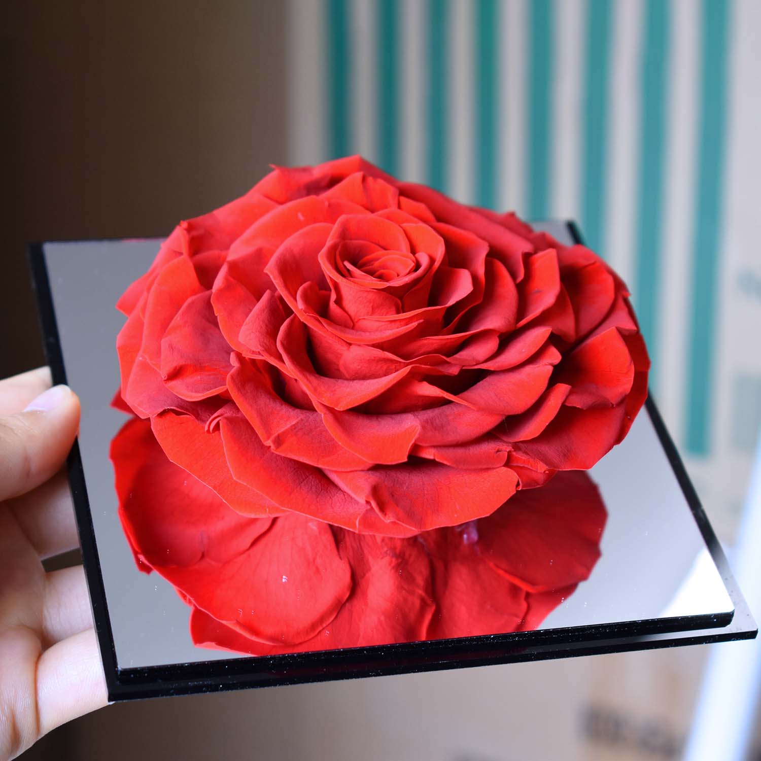 Valentine&#39;s Day Gifts - Everlasting Mirror Rose Glass Container