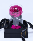 Mini Forever Rose | Everlasting Rose Dome | Enchanted Rose | Rose That Lasts A Year