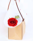 Valentine's Day Flowers - Wrapped Red Rose