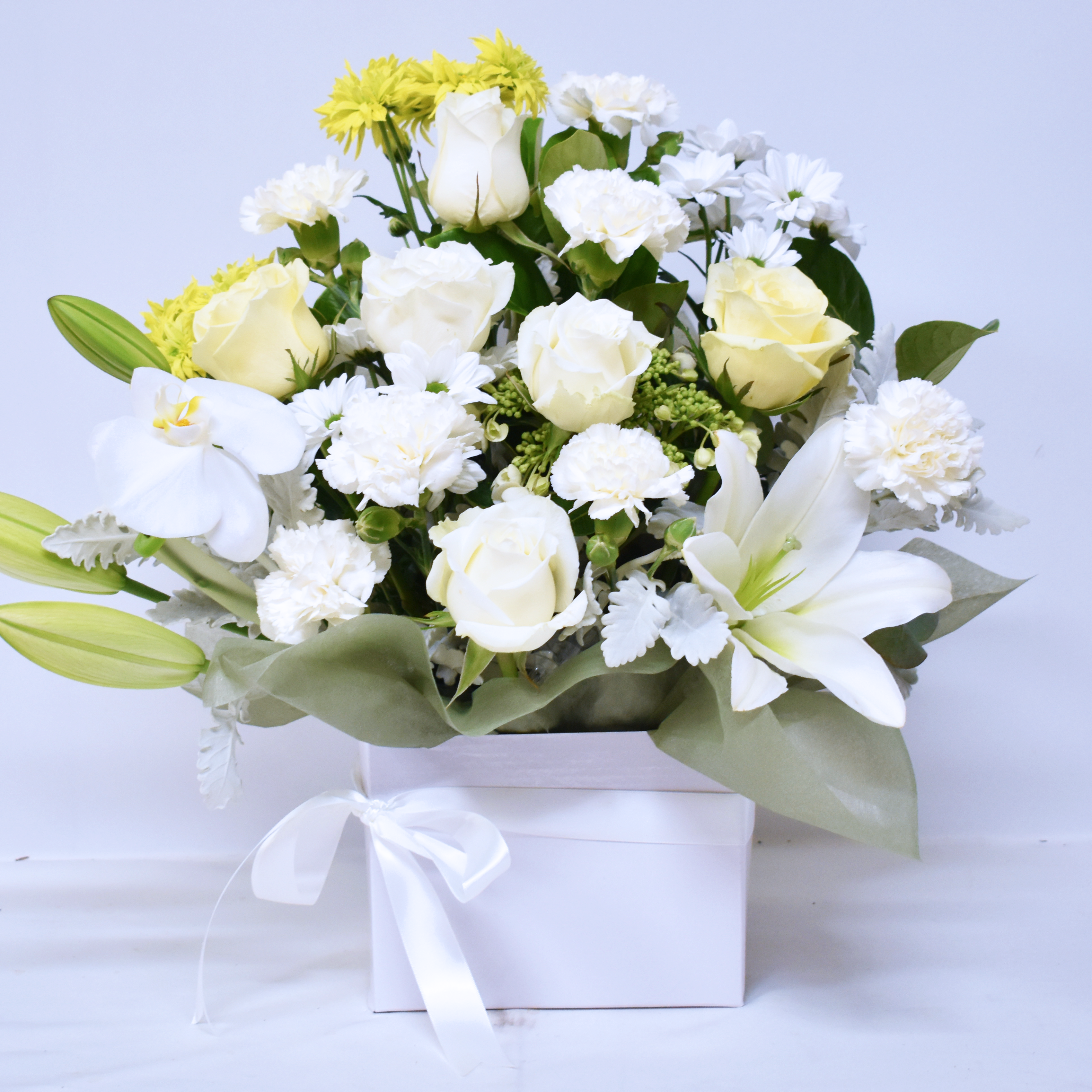白色花盒（Medium）