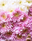 Seasonal Mother's Day Flower Bouquet