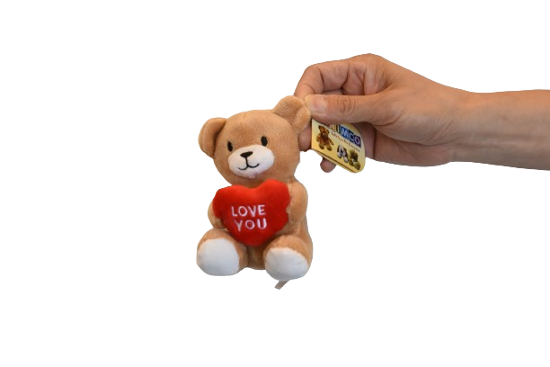Mini Valentine's Teddy