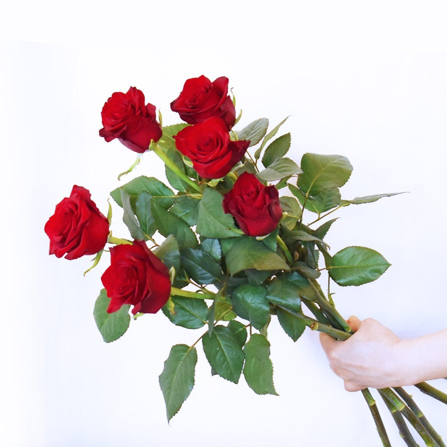 Valentine's Day Flowers - Red Roses + Vase!