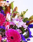 Mother's Day Flowers - Pink Colour Pop Gerbera Box