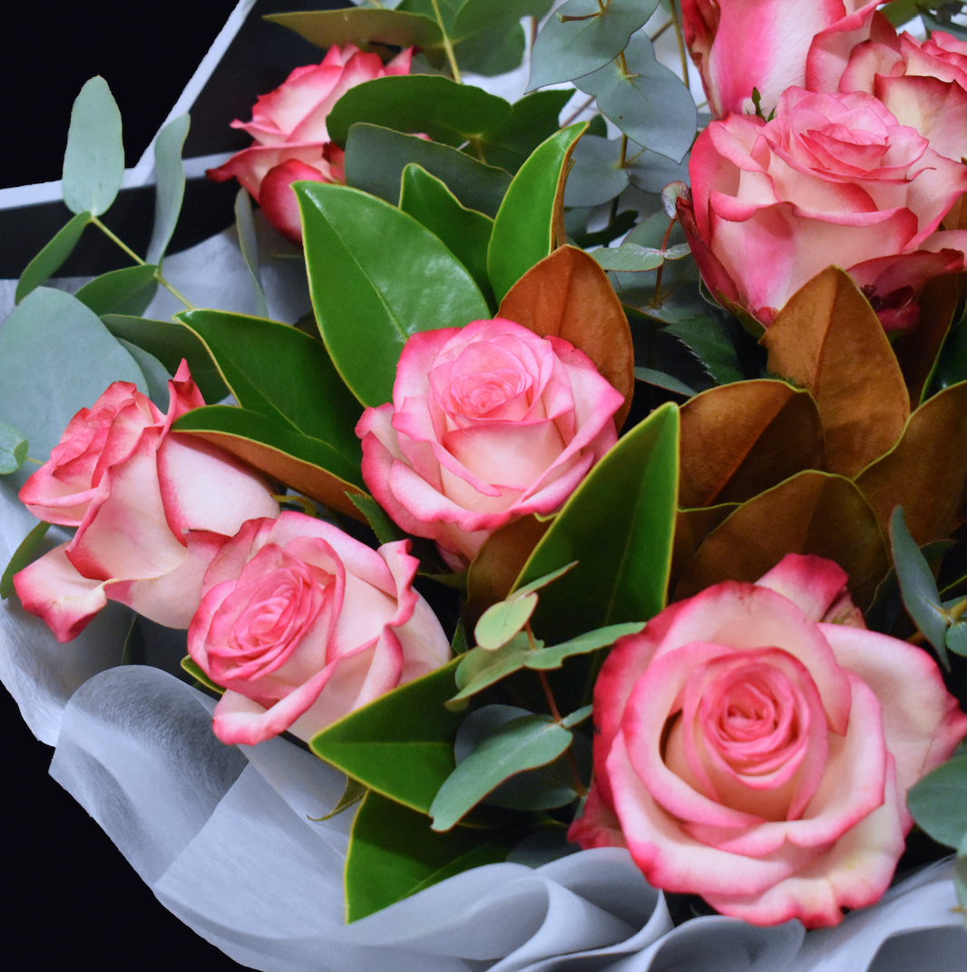 Blushing Pink Rose Bouquet