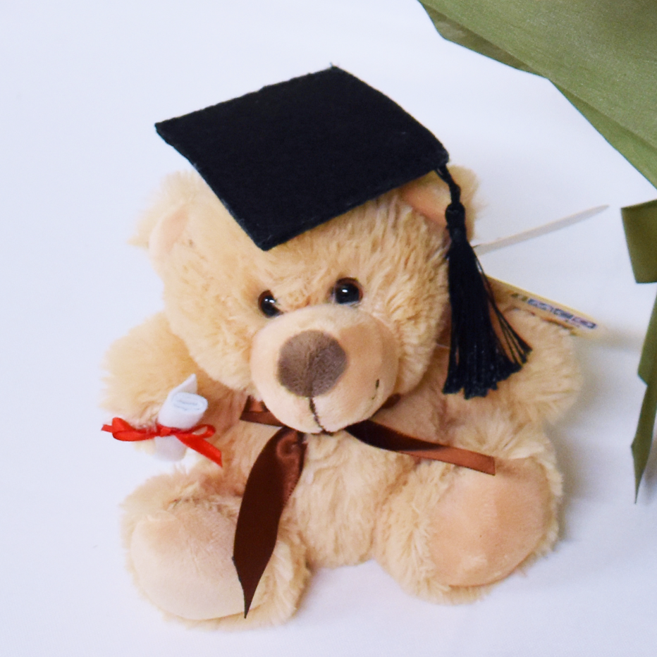 Graduation Bear with cap and ribbon | Melissa's Florist & Gifts - Same ...