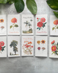 Plantable Seed Card | Valentine's, Floral Designs