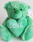Green Loveheart Buddy Bear (23cm)